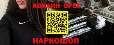 гашик Донской