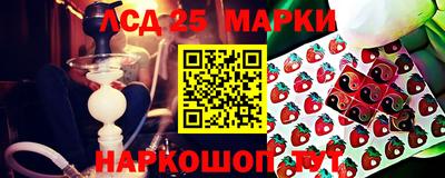 гашик Донской