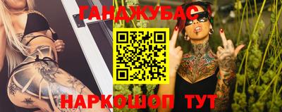 гашик Донской