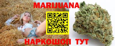гашик Донской