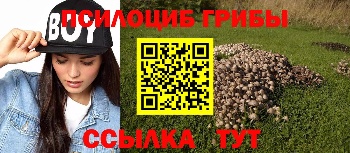 Нефтекумск  Галлюциногенные грибы прущие грибы  цены наркотик  Вход с VPN  Псилоцибиновые грибы GOLDEN TEACHER 